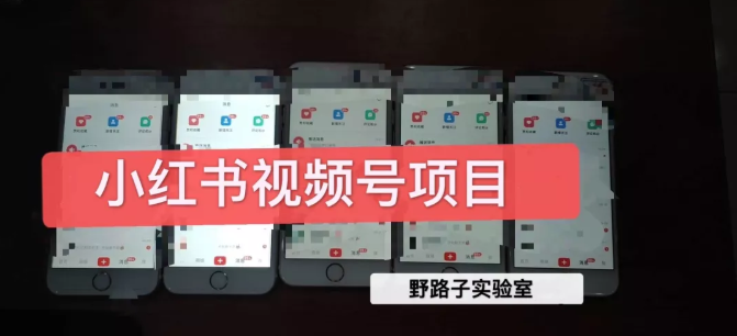 野路子小红书视频号1.0项目，直接上手操作就能赚钱的视频号项目-6688资源库