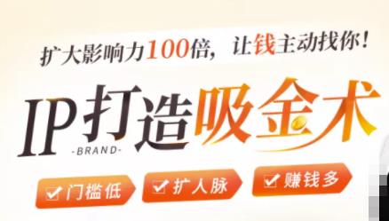 IP打造吸金术：0基础0资源，也能扩大影响力100倍，让钱主动找你！-6688资源库