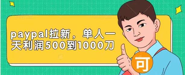 Paypal拉新赚美刀项目，单人一天利润500-1000刀【视频课程】-6688资源库