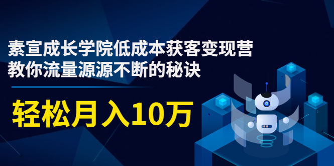 素宣成长学院低成本获客变现营,教你流量源源不断的秘诀,轻松月入10万-6688资源库