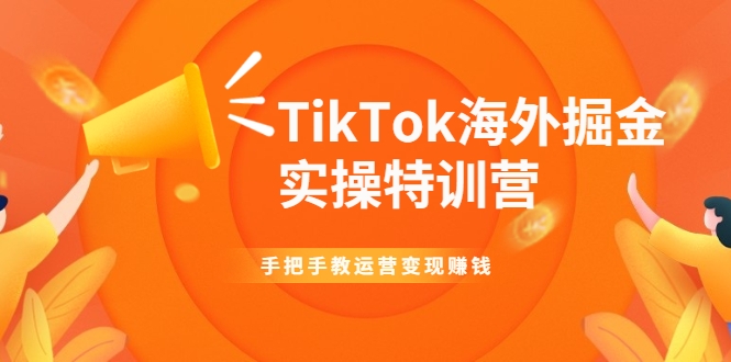 TikTok海外掘金实操特训营：手把手教运营变现赚钱-6688资源库