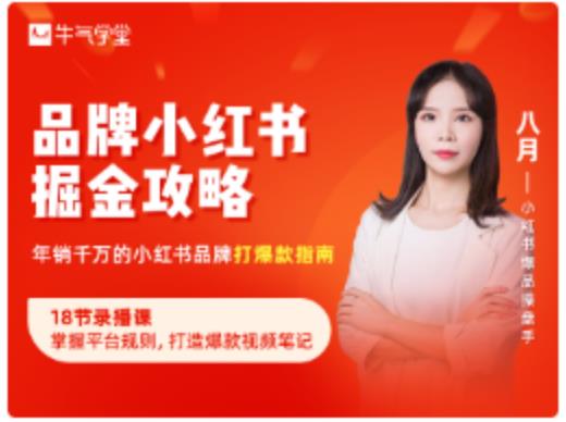 品牌小红书掘金攻略,年销千万的小红书品牌打爆款指南-6688资源库