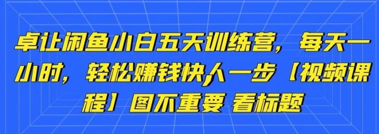 卓让闲鱼小白五天训练营，每天一小时，轻松赚钱快人一步-6688资源库