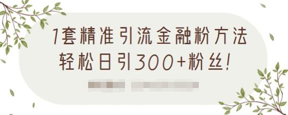 1套精准引流金融粉方法，轻松日引300+粉丝-6688资源库