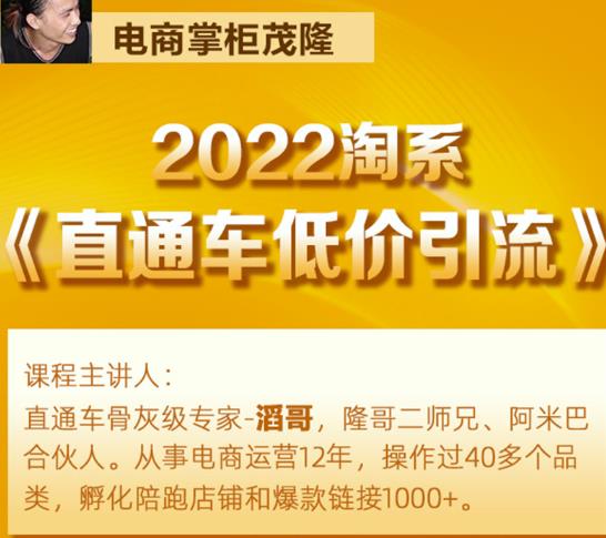 茂隆2022直通车低价引流玩法，教大家如何低投入高回报的直通车玩法-6688资源库