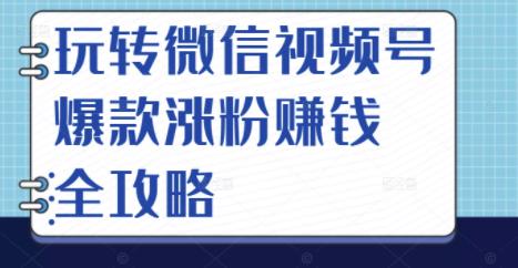 玩转微信视频号爆款涨粉赚钱全攻略，让你快速抓住流量风口，收获红利财富-6688资源库