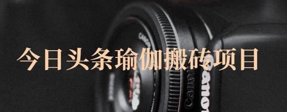 猎人社区·今日头条瑜伽搬砖项目,单号一天几十收入,可以批量操作!-6688资源库