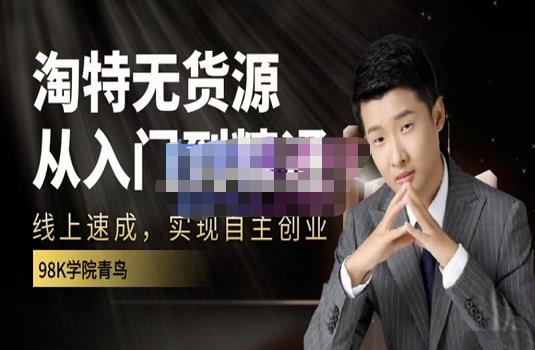 98k学院的淘特无货源线上速成课,从入门到精通,让你最小投入,最高回报-6688资源库