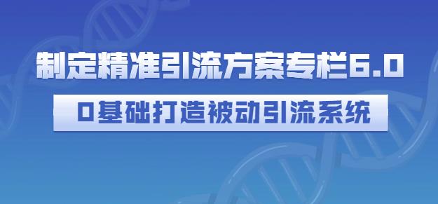 制定精准引流方案专栏6.0，0基础打造被动引流系统-6688资源库