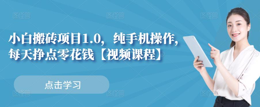 小白搬砖项目1.0，纯手机操作，每天兼职挣点零花钱-6688资源库