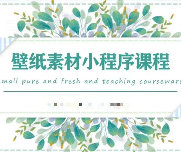 闪闪壁纸号运营教程，抓住图文风口，快速吸粉变现-6688资源库