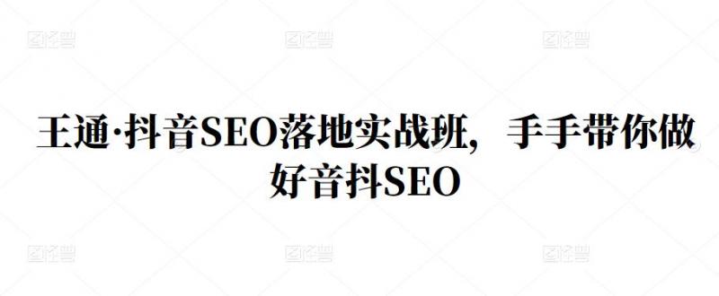 王通·抖音SEO落地实战班，手‬手带你做好音抖‬‬SEO-6688资源库