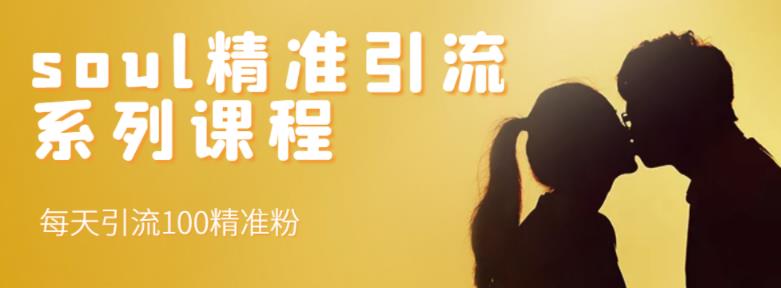 soul精准引流系列课程，每天引流100精准粉-6688资源库