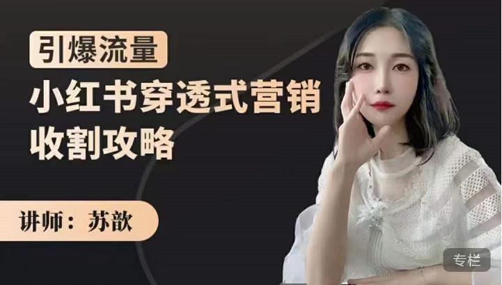 苏歆：小红书穿透式营销收割攻略，引爆流量，助你玩转小红书-6688资源库