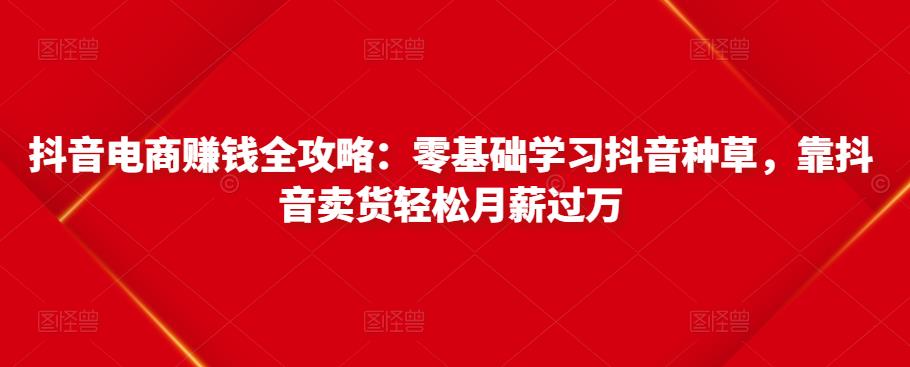 抖音电商赚钱全攻略：零基础学习抖音种草，靠抖音卖货轻松月薪过万-6688资源库