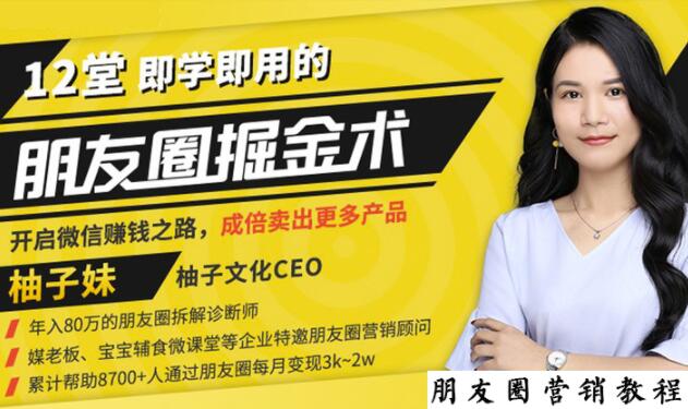【营销必学】12堂学之即用的朋友圈掘金术:开启你的副业赚钱之路-6688资源库