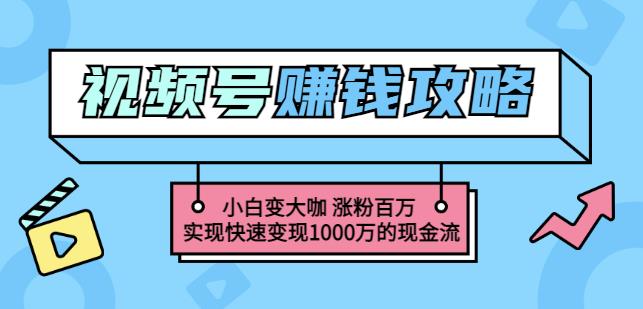 玩转微信视频号赚钱：小白变大咖涨粉百万实现快速变现1000万的现金流-6688资源库