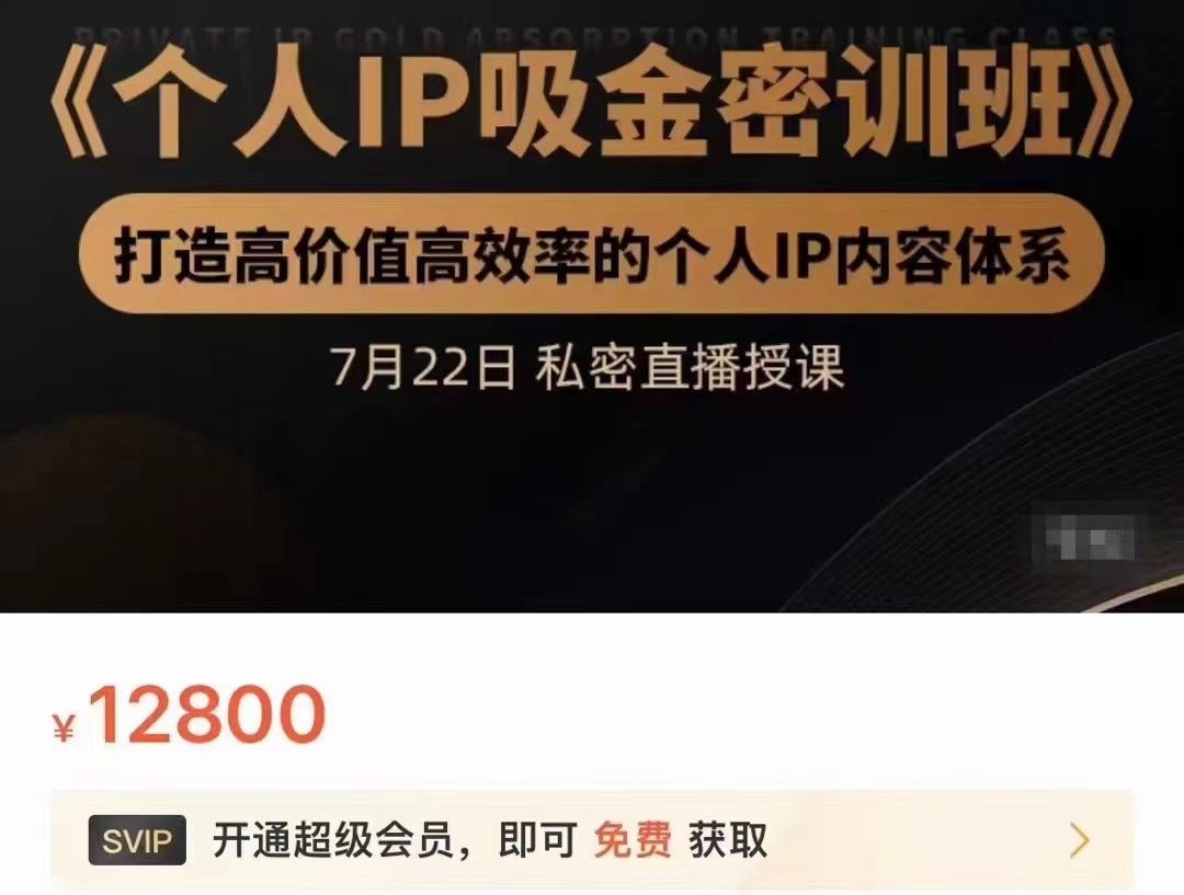 个人IP吸金密训班，打造高价值高效率的个人IP内容体系（价值12800元）-6688资源库