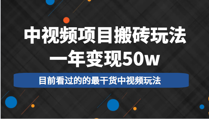 中视频项目搬砖玩法，一年变现50w，目前看过的的最干货中视频玩法-6688资源库