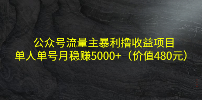 公众号流量主暴利撸收益项目，单人单号月稳赚5000+（价值480元）-6688资源库