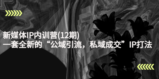 新媒体IP内训营(12期),一套全新的“公域引流,私域成交”IP打法,直接带走-6688资源库