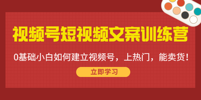 视频号短视频文案训练营：0基础小白如何建立视频号，上热门，能卖货！-6688资源库