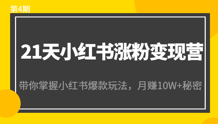 21天小红书涨粉变现营（第4期）：带你掌握小红书爆款玩法，月赚10W+秘密-6688资源库