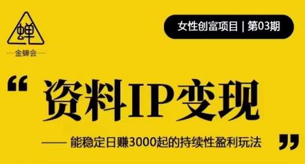资料IP变现，能稳定日赚3000起的持续性盈利玩法-6688资源库