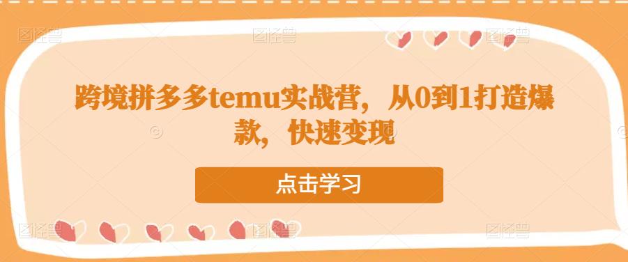 跨境拼多多temu实战营，从0到1打造爆款，快速变现-6688资源库