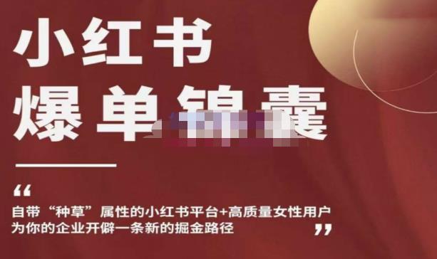 小红书爆单锦囊,自带种草属性+高质量女性用户,为你的企业开辟一条新的掘金路径-6688资源库