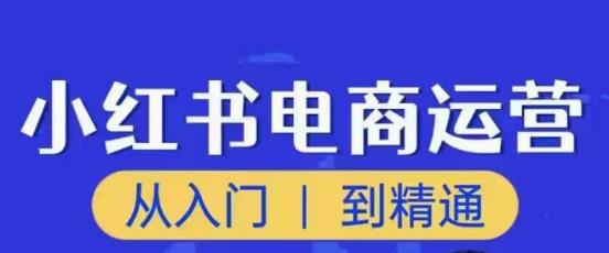 顽石小红书电商高阶运营课程，从入门到精通，玩法流程持续更新-6688资源库