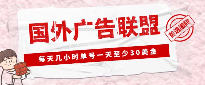 外面收费1980的最新国外LEAD广告联盟搬砖项目，单号一天至少30美金【详细玩法教程】-6688资源库