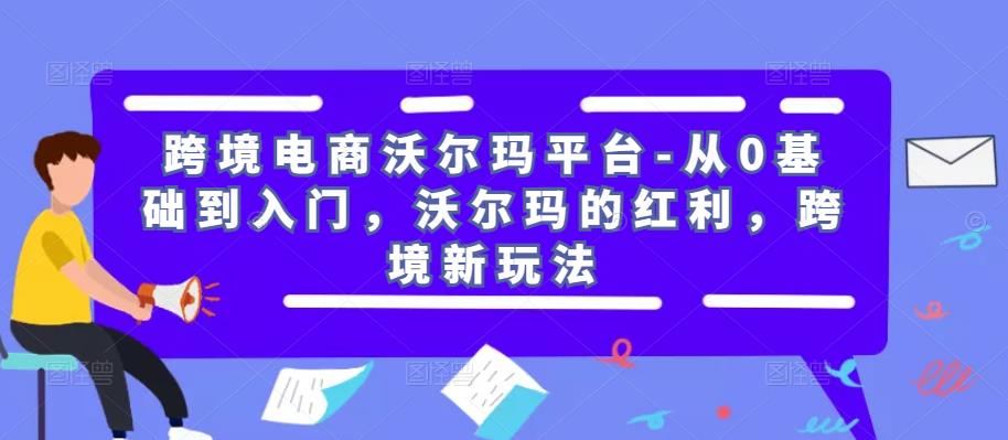 跨境电商沃尔玛平台-从0基础到入门，沃尔玛的红利，跨境新玩法-6688资源库