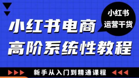 小红书电商高阶系统教程，新手从入门到精通系统课-6688资源库