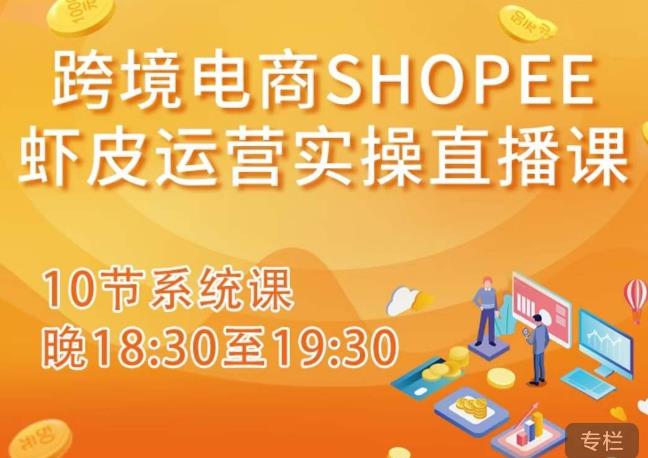 跨境电商Shopee虾皮运营实操直播课，从零开始学，入门到精通（10节系统课）-6688资源库