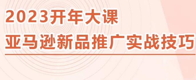 2023亚马逊新品推广实战技巧，线下百万美金课程的精简版，简单粗暴可复制，实操性强的推广手段-6688资源库
