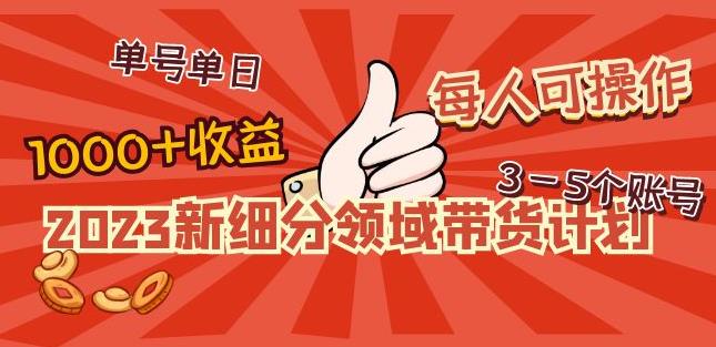 2023新细分领域带货计划：单号单日1000+收益不难，每人可操作3-5个账号-6688资源库