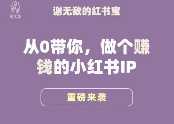 谢无敌·小红书运营大宝典，从0带你做个赚钱的小红书IP-6688资源库