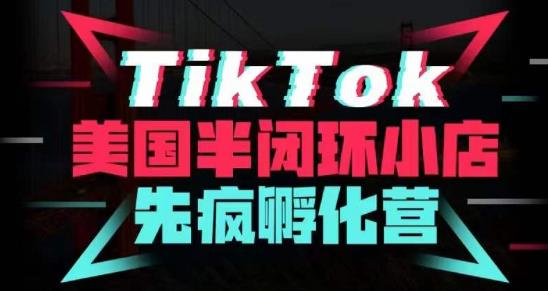疯人院·TikTok美国半闭环小店孵化营，抢占TikTok美国蓝海市场，开店、运营、带货、投流全实操-6688资源库