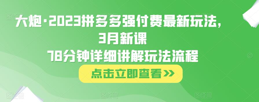 大炮·2023拼多多强付费最新玩法，3月新课​78分钟详细讲解玩法流程-6688资源库