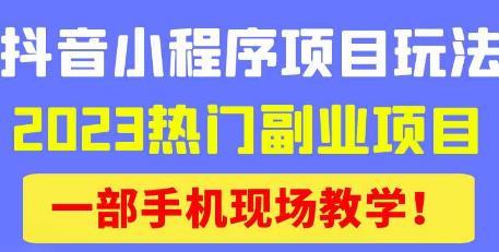 抖音小程序9.0新技巧，2023热门副业项目，动动手指轻松变现-6688资源库