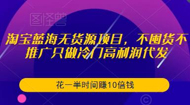 淘宝蓝海无货源项目，不囤货不推广只做冷门高利润代发，花一半时间赚10倍钱-6688资源库