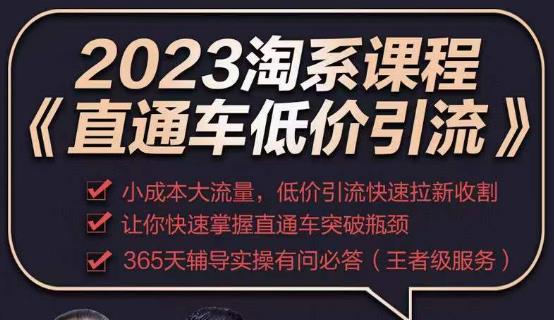 2023直通车低价引流玩法课程，小成本大流量，低价引流快速拉新收割，让你快速掌握直通车突破瓶颈-6688资源库