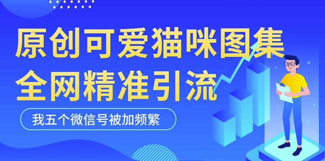 黑科技纯原创可爱猫咪图片，全网精准引流，实操5个VX号被加频繁-6688资源库