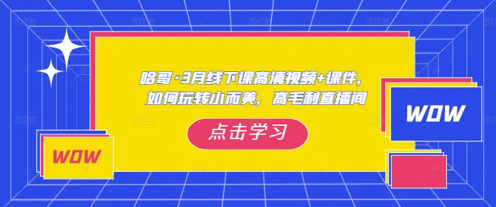 哈哥·3月线下实操课高清视频+课件,如何玩转小而美,高毛利直播间-6688资源库