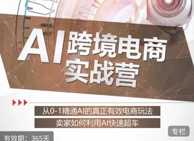 白龙老师·AI跨境电商实战营：从0-1精通Al的真正有效电商玩法，卖家如何利用Al快速超车-6688资源库