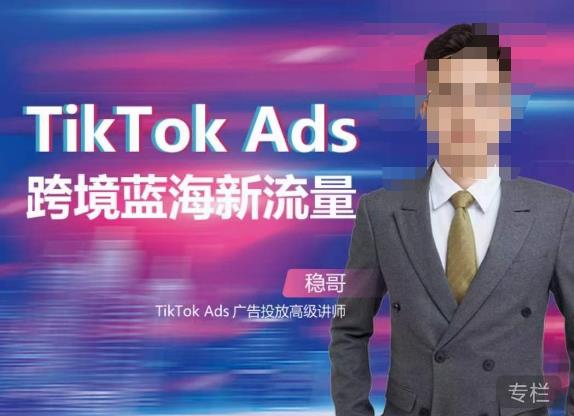 稳哥·如何投出高ROI的TikTok广告,开拓独立站卖家流量新蓝海-6688资源库