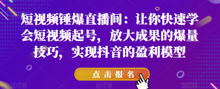 短视频锤爆直播间：让你快速学会短视频起号，放大成果的爆量技巧，实现抖音的盈利模型-6688资源库