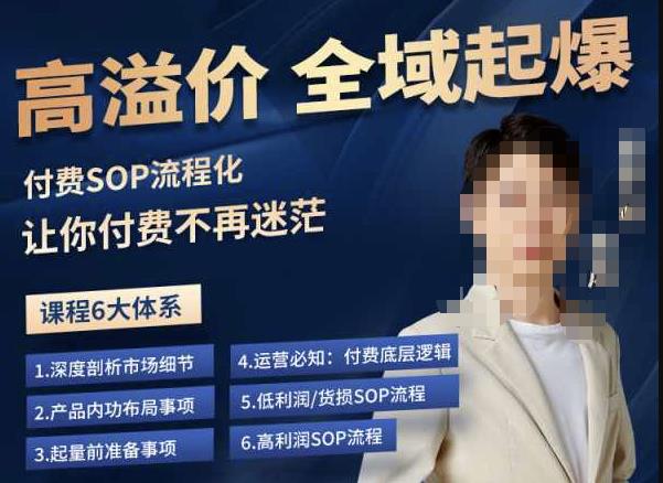 逸风-拼多多高溢价全域起爆，6大课程体系，付费玩法全套实操-6688资源库