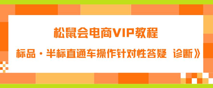 松鼠会电商VIP教程：松鼠《付费推广标品·半标直通车操作针对性答疑&诊断》-6688资源库